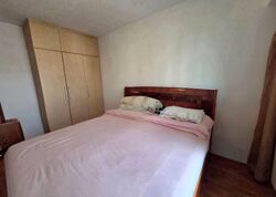 Blk 1 The Pinnacle@Duxton (Bukit Merah), HDB 4 Rooms #531944611